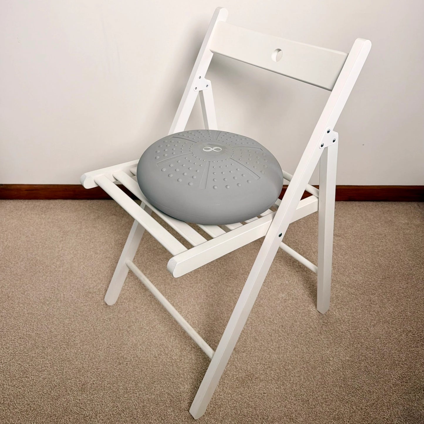 SPINE CUSHION