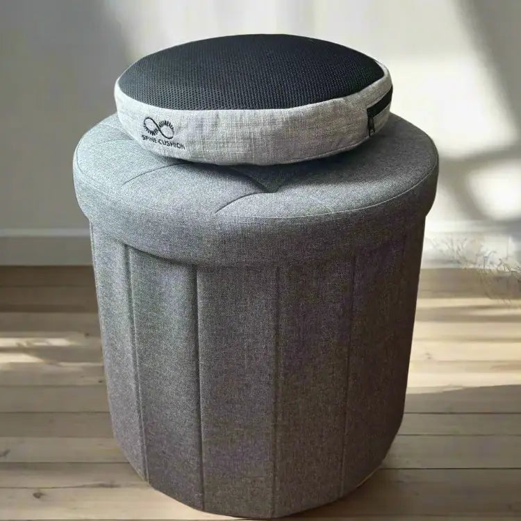 SPINE CUSHION