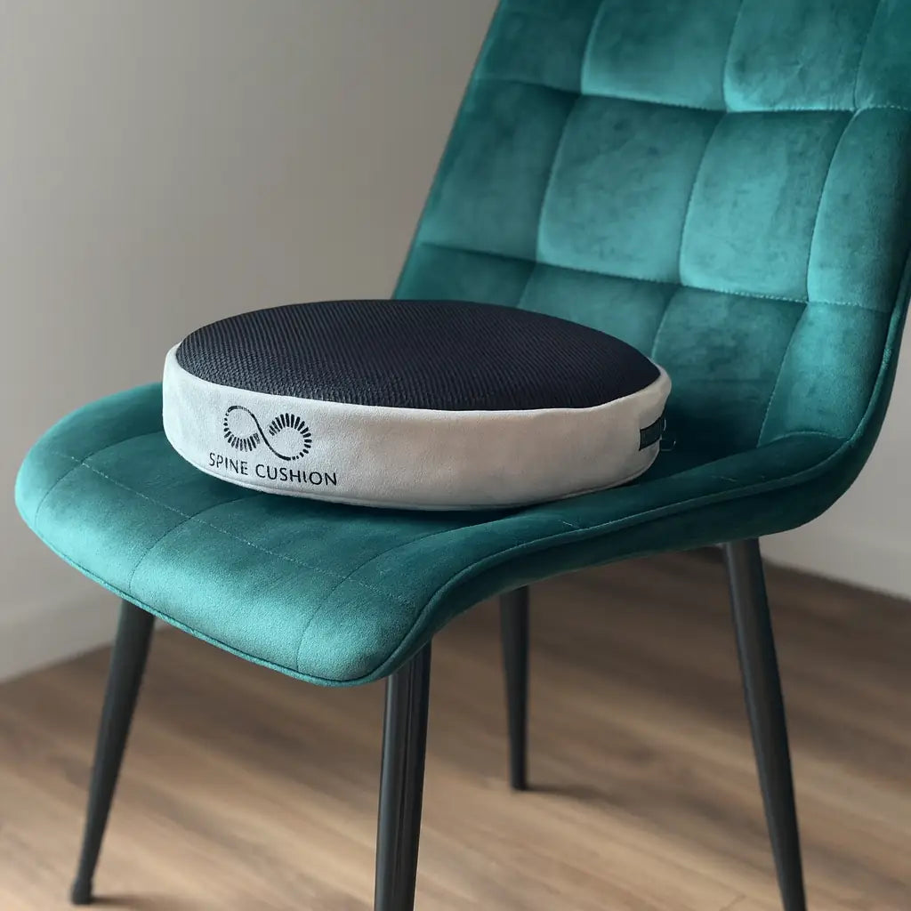 SPINE CUSHION
