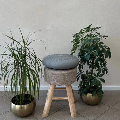 SPINE CUSHION